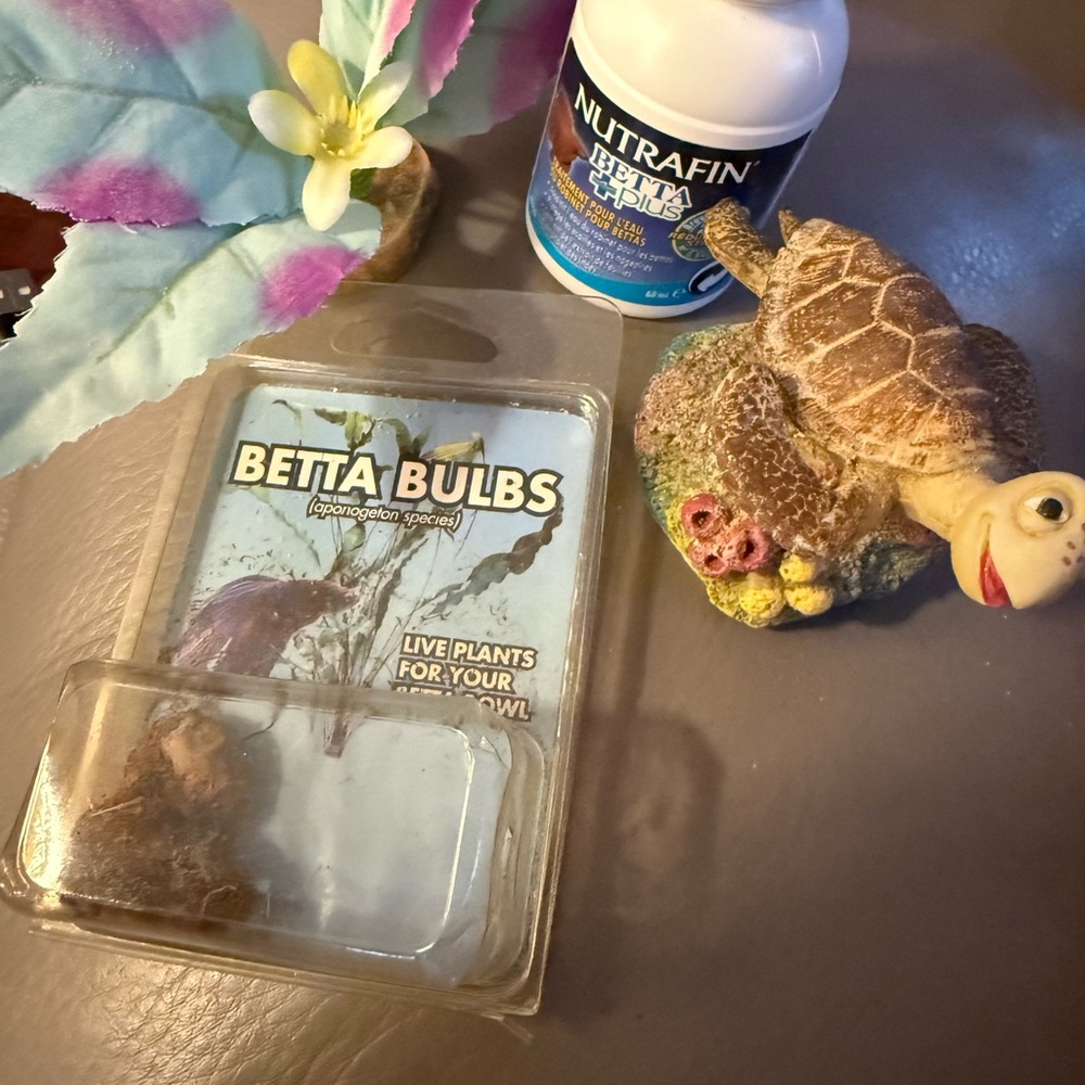 Betta Bulbs and Aquarium Decor